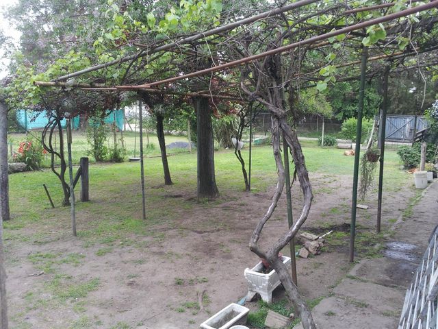 place photo 26