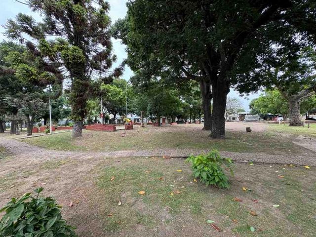 place photo 13