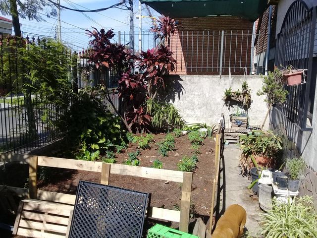 place photo 29