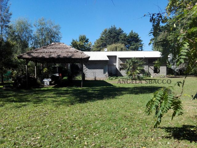 place photo 9