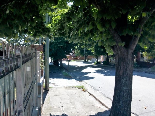 place photo 27