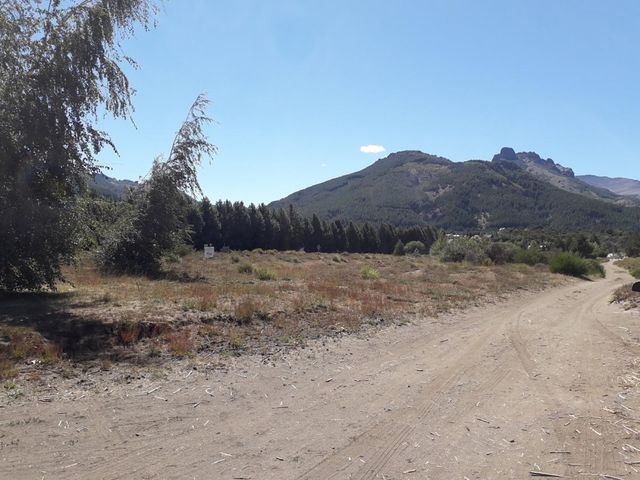 place photo 18