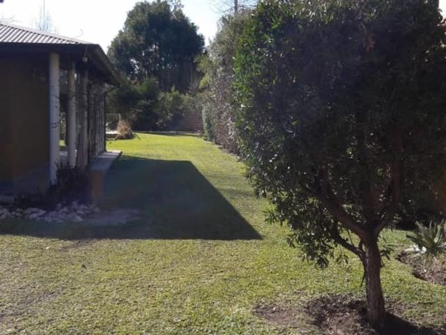 place photo 31