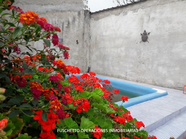 place photo 46