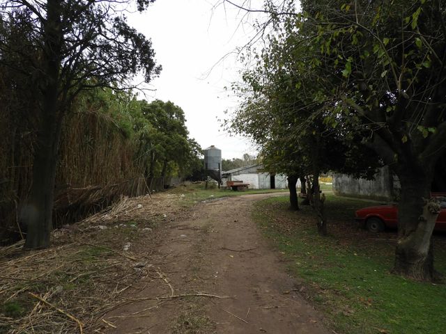 place photo 9