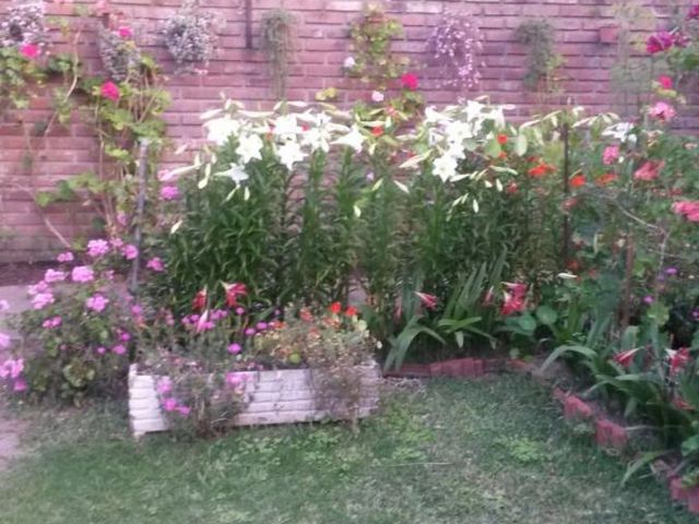 place photo 30