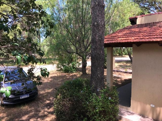 place photo 37