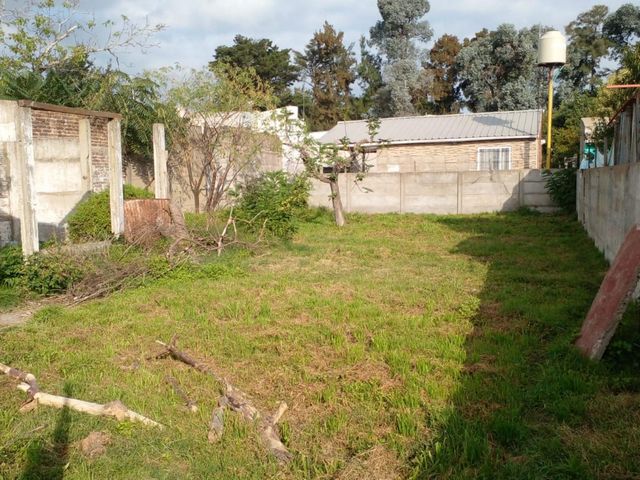 place photo 7