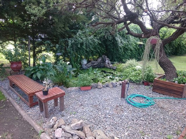 place photo 31