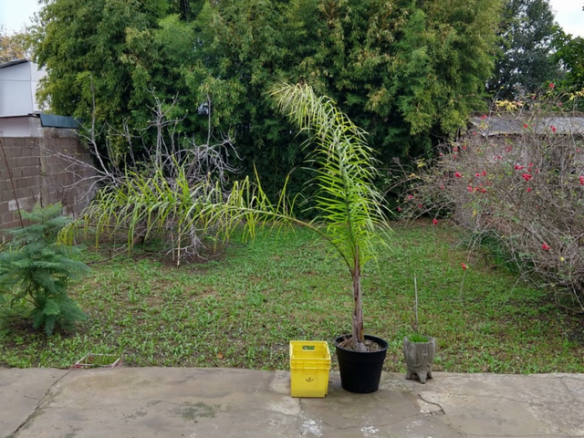 place photo 15