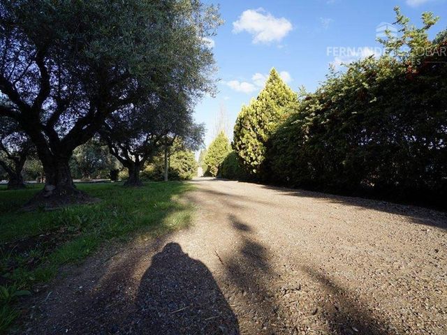 place photo 25