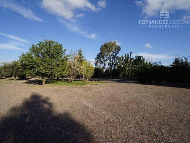 place photo 27