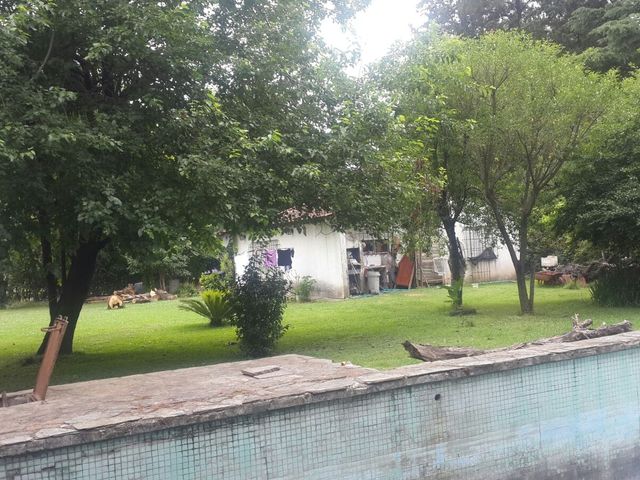 place photo 14