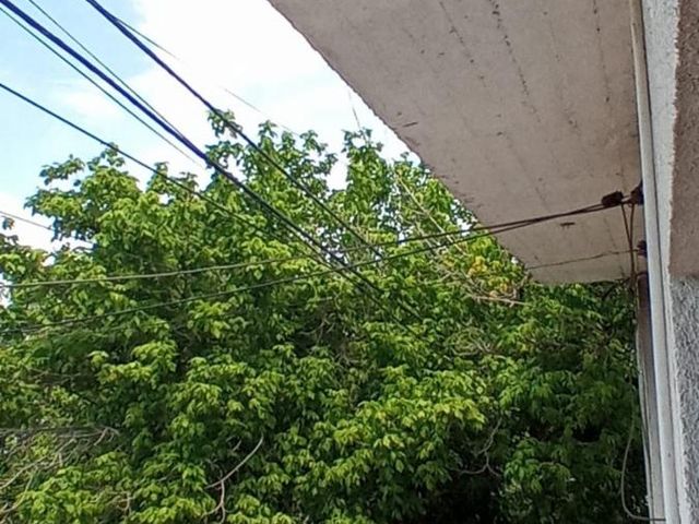 place photo 50
