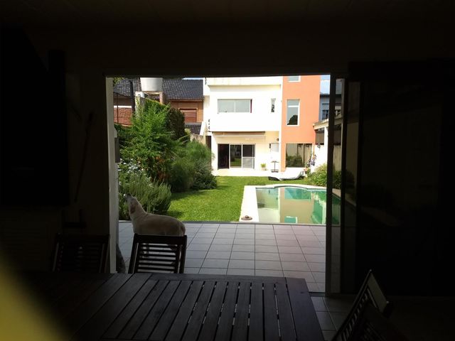 place photo 42