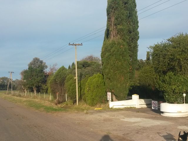 place photo 11