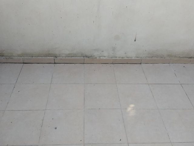 place photo 54