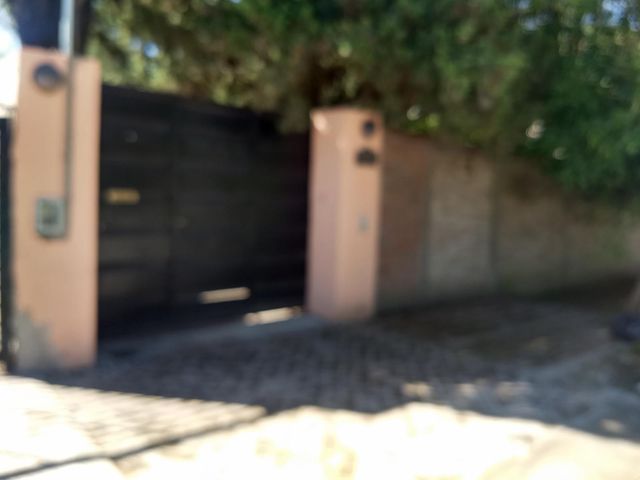 place photo 44