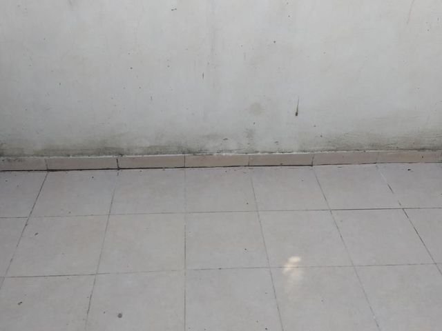 place photo 56