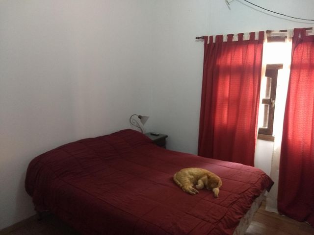 place photo 34