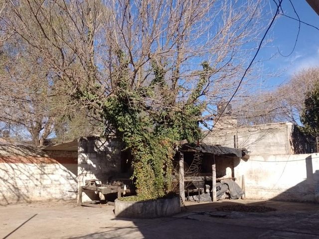 place photo 16