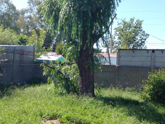 place photo 5