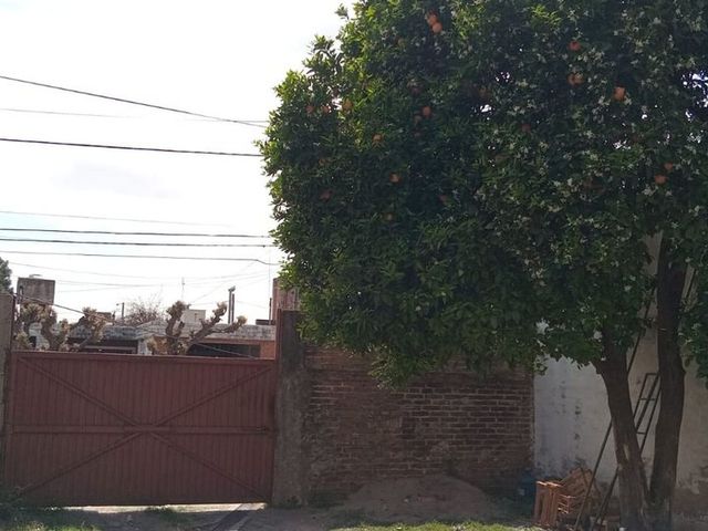 place photo 9