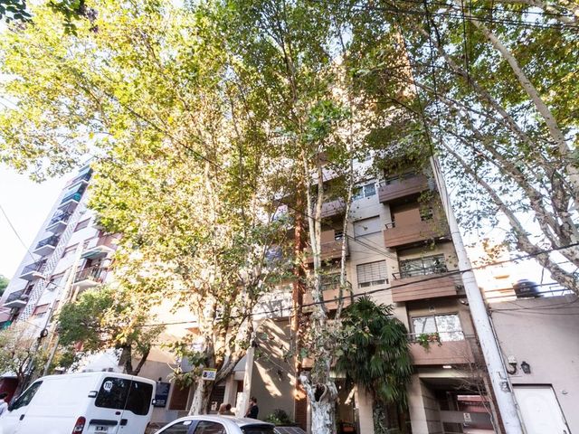 place photo 47
