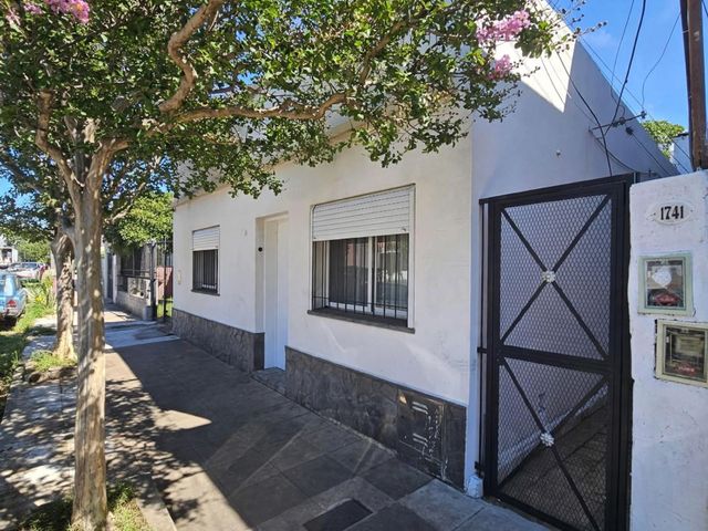 place photo 13