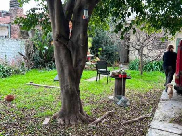 place photo 28