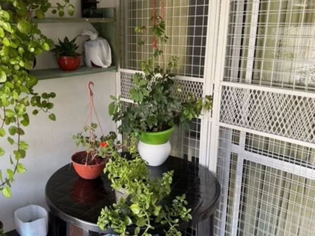 place photo 21