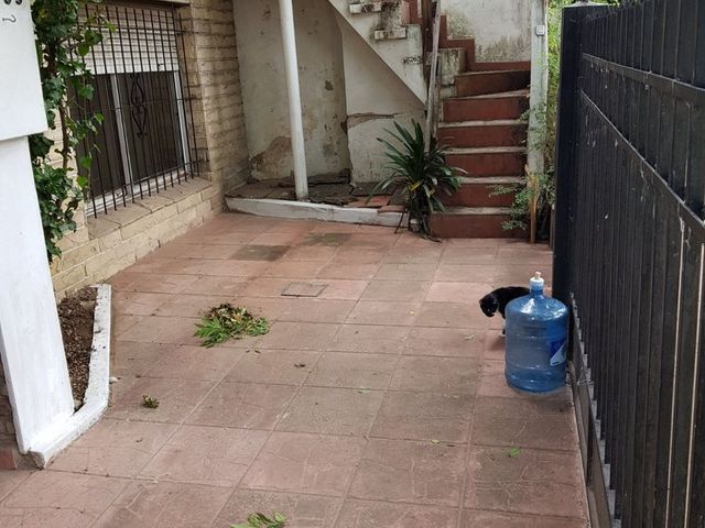 place photo 32