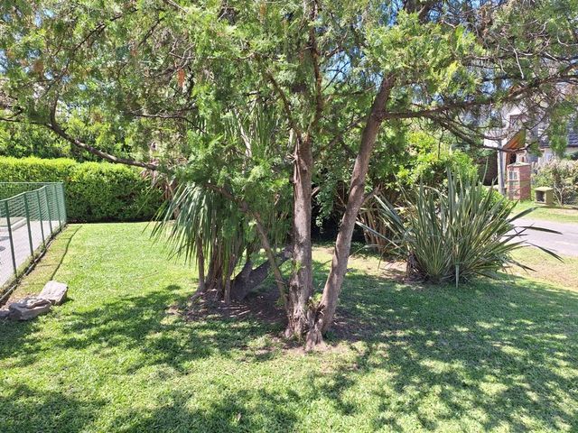 place photo 49