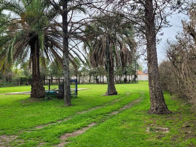 place photo 42