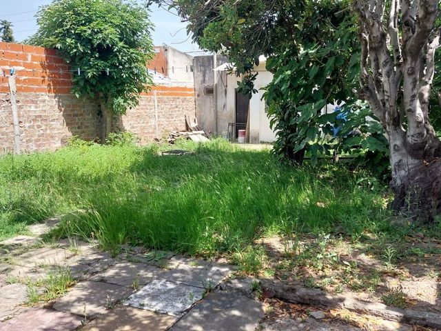 place photo 26