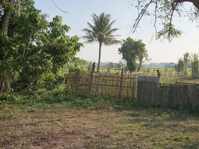 place photo 30