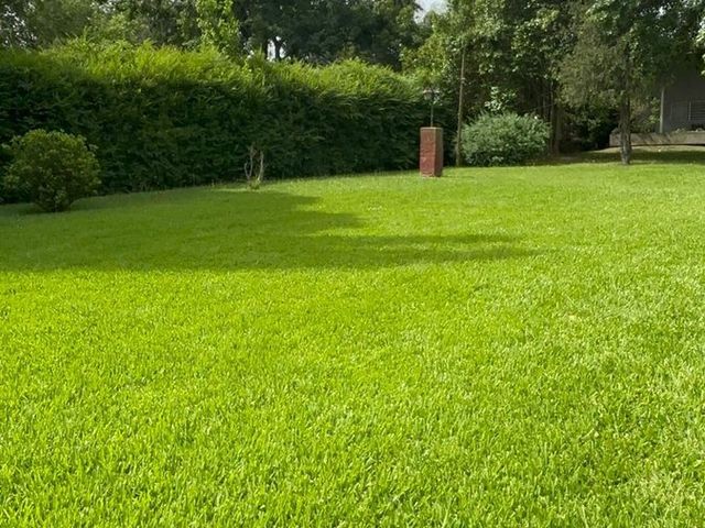 place photo 51
