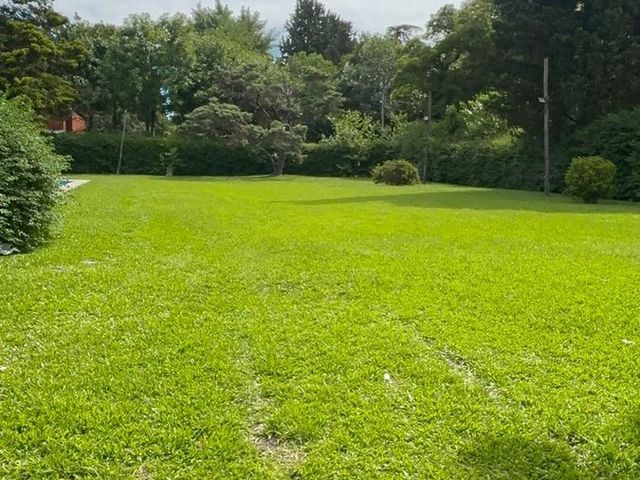 place photo 40