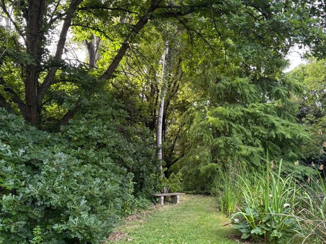 place photo 61