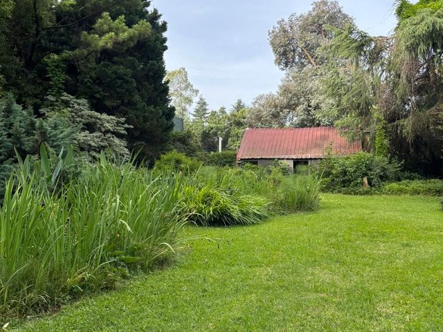 place photo 60