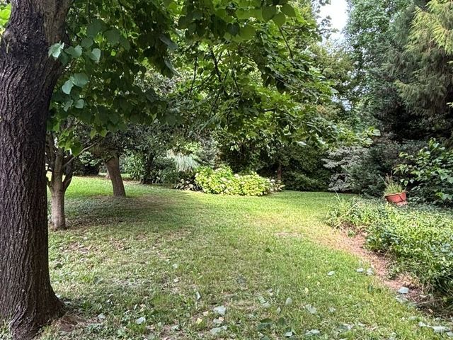 place photo 54