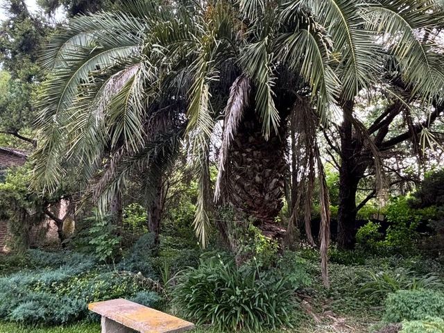 place photo 59