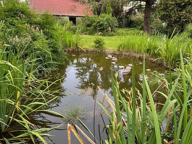 place photo 62