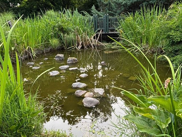 place photo 63