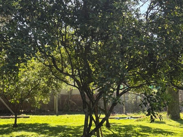 place photo 42