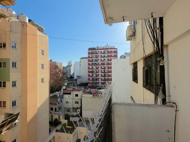 place photo 17