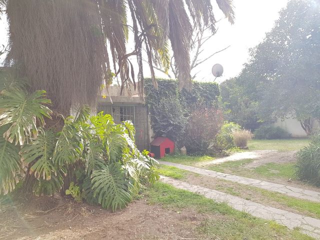 place photo 40