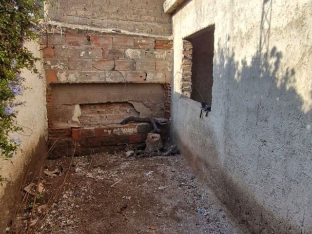 place photo 13