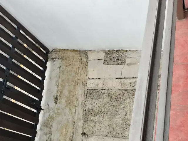 place photo 66