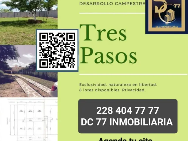 place photo 13